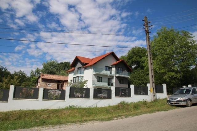 Pensiunea Albero Curtea de Argeş Exterior foto